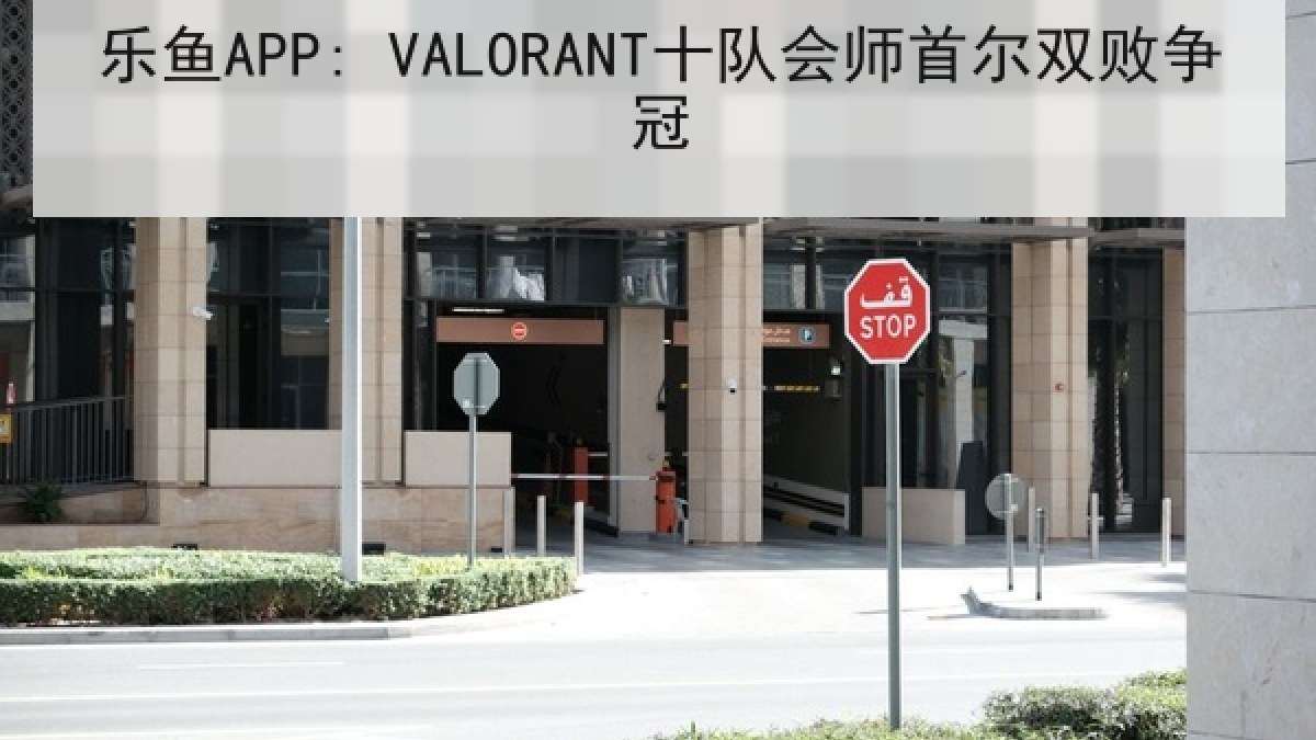 乐鱼APP: VALORANT十队会师首尔双败争冠