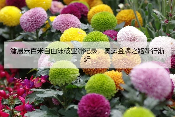 潘展乐百米自由泳破亚洲纪录，奥运金牌之路渐行渐近
