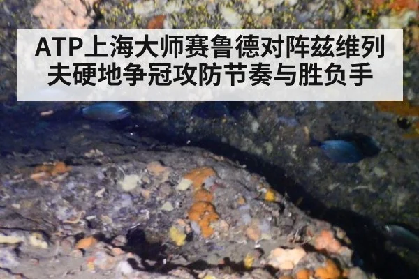 ATP上海大师赛鲁德对阵兹维列夫硬地争冠攻防节奏与胜负手