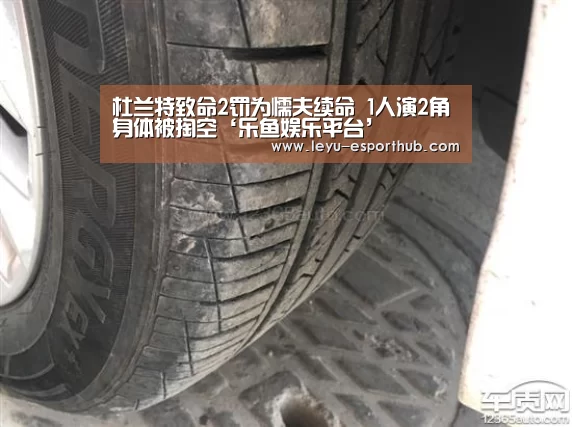 乐鱼体育APP